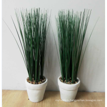 Wholesale artificial plants onion grass bonsai